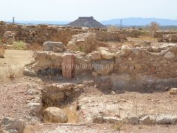 Yacimiento de Villaricos 2012